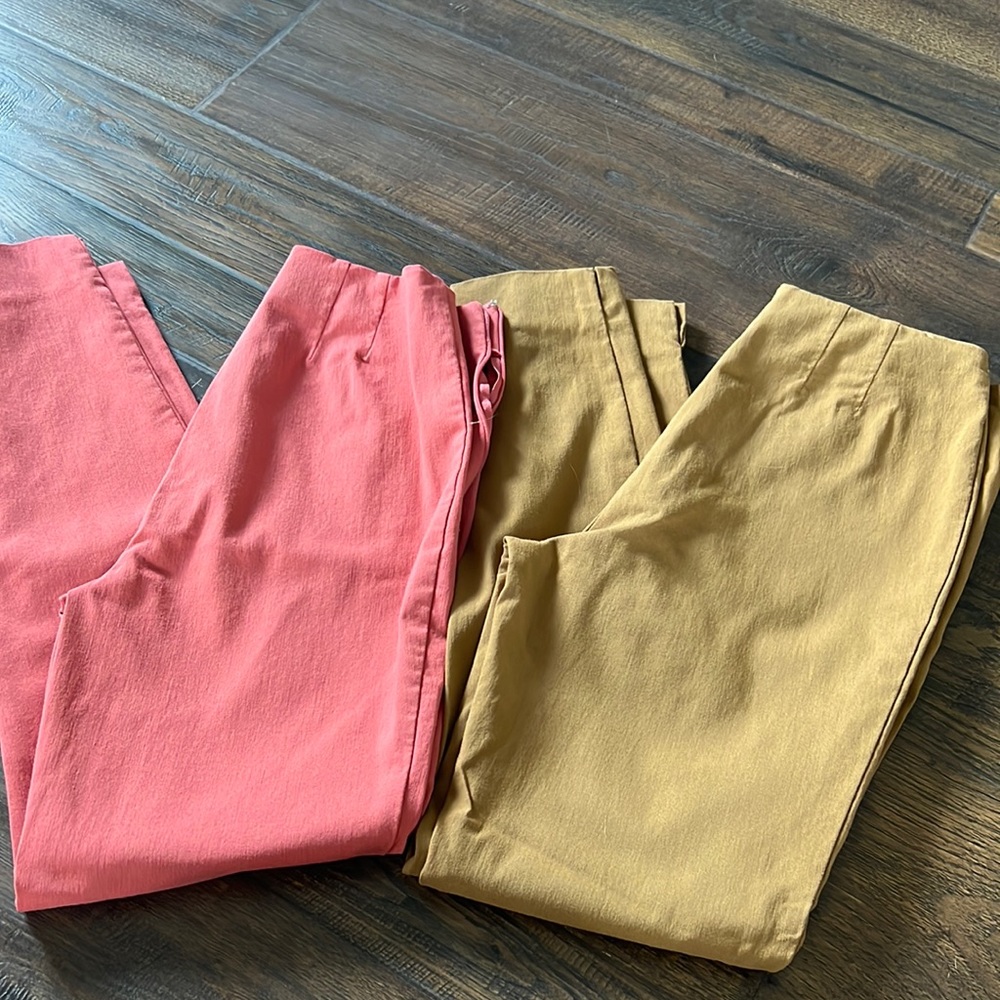 Time and Tru Cream and Coral Skinny Stretchy Dress Pants